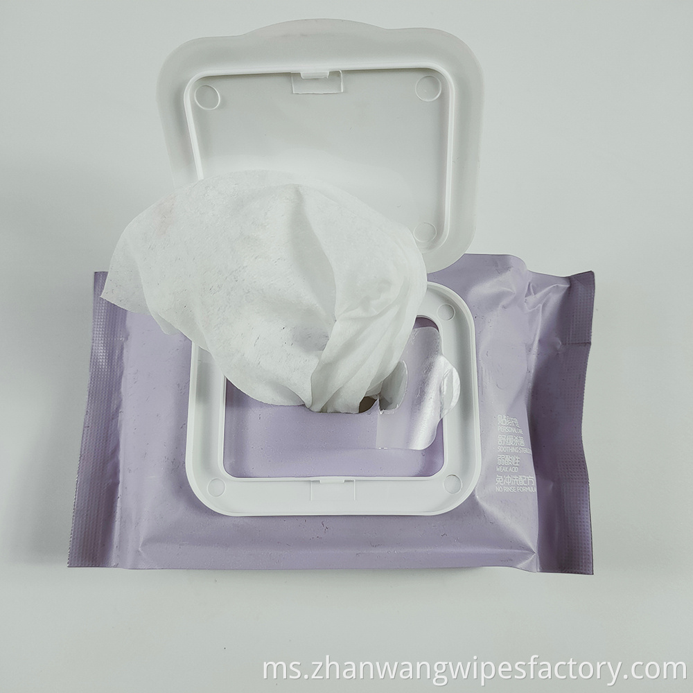 Custom Feminine Wipes Individually Wrapped Feminine Wash Wipes Adults Wipes 6